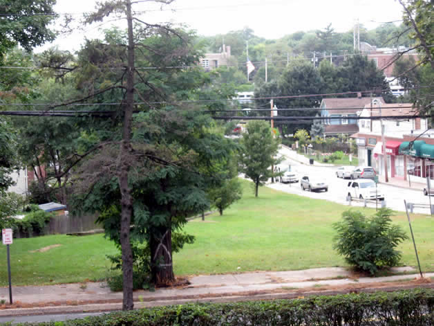 Click to Enlarge